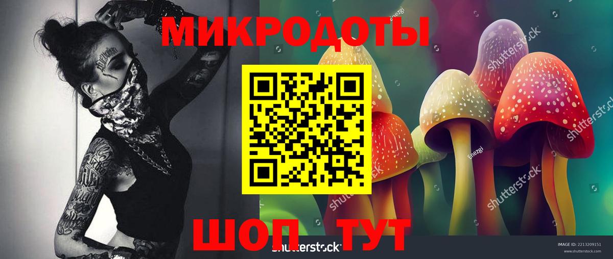 Санкт-Петербург  где купить наркоту  Вход с VPN  Галлюциногенные грибы GOLDEN TEACHER  Псилоцибиновые грибы Cubensis 